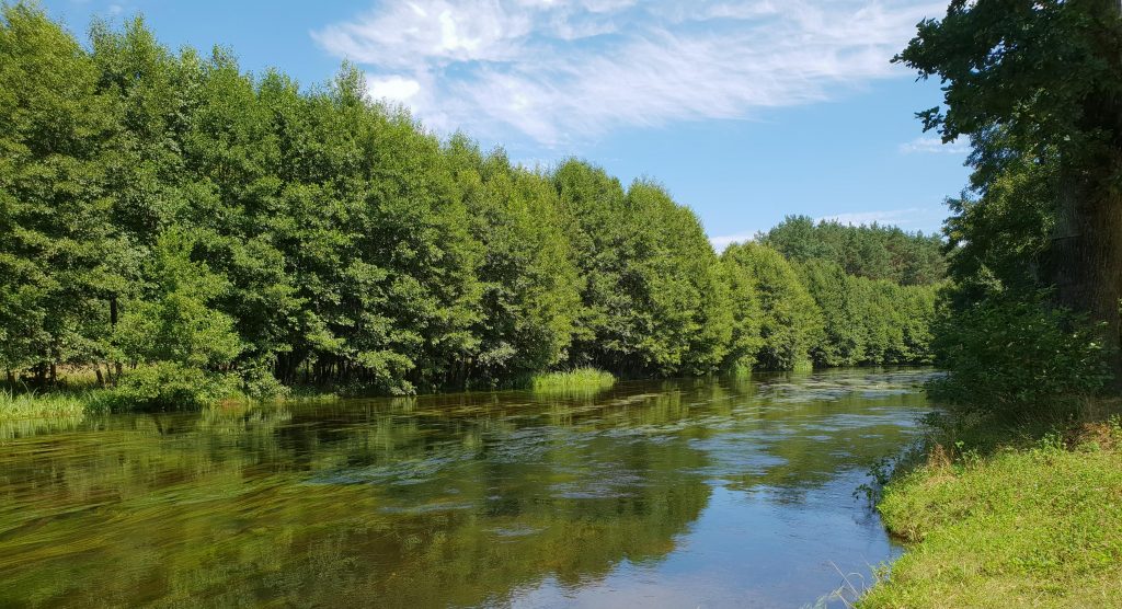 Niezbędnik Kajakarza Wda